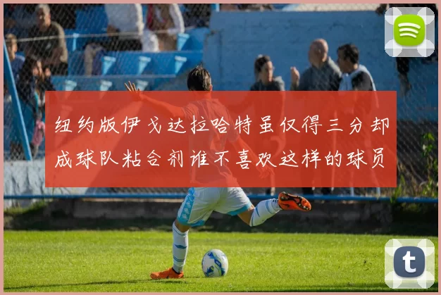 纽约版伊戈达拉哈特虽仅得三分却成球队粘合剂谁不喜欢这样的球员